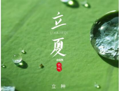 立夏朋友圈文案