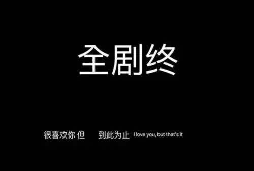 小说意难平的文案