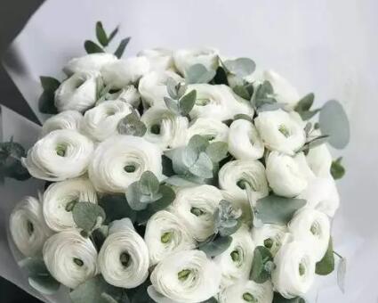 男生收到女生花的文案