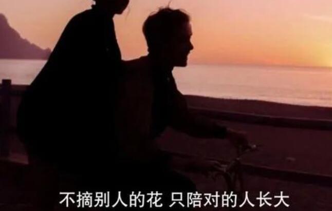 陪彼此长大的文案