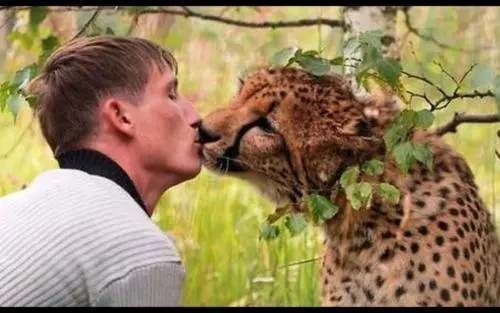 感动顾客文案300字