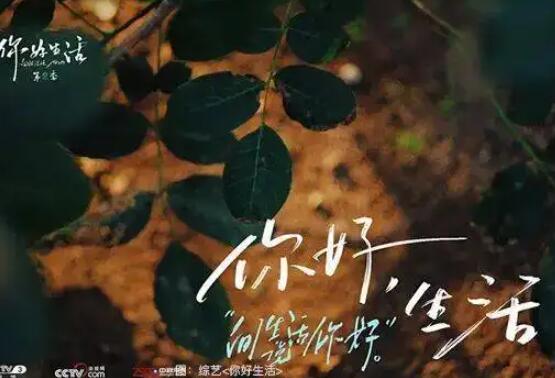 记录生活点滴的文案