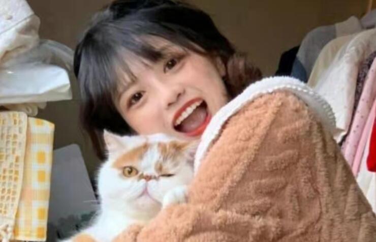 适合追星女孩发的文案