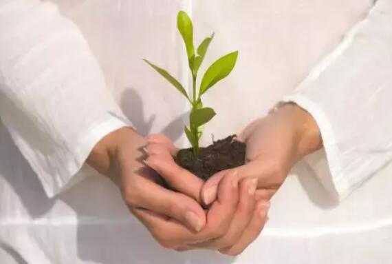 通知朋友在开始卖茶叶的文案