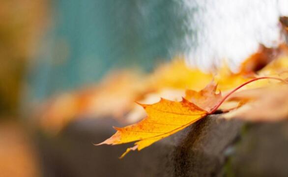 励志口播文案素材