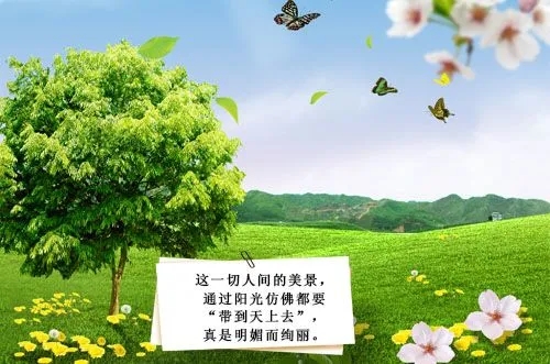 描写春天的优美句子文案
