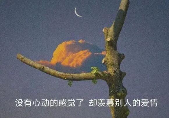 容易引起共鸣的伤感文案