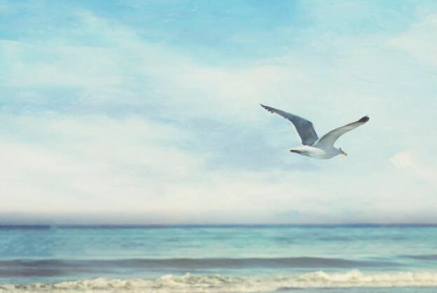 抖音夏日文案背景图