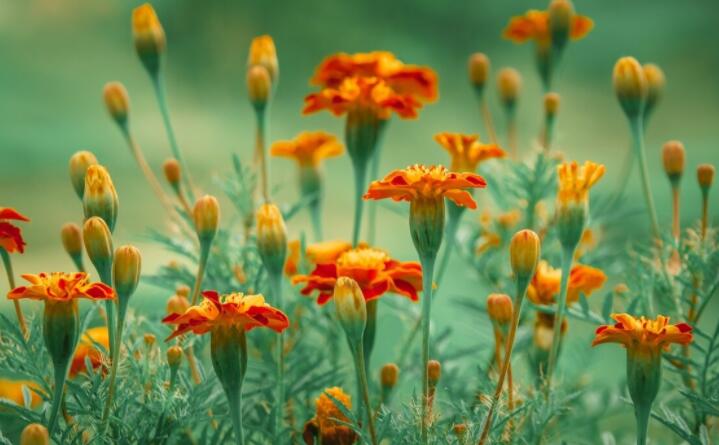 文案温柔一点的