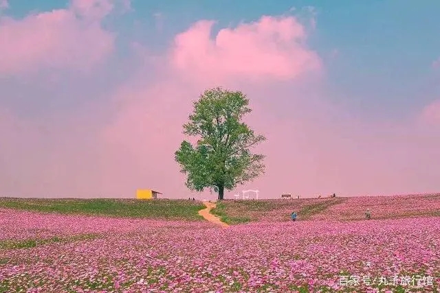 高质量文案正能量