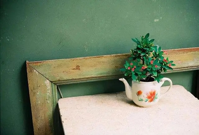 脾气不好不伺候祖宗文案