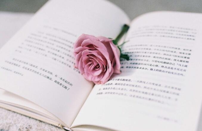 喜欢看小说的女孩文案