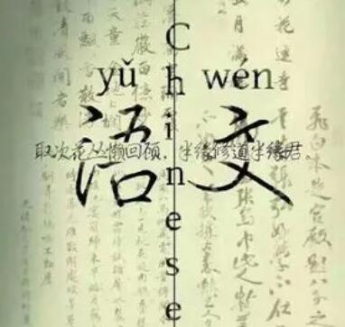 热爱语文的文案