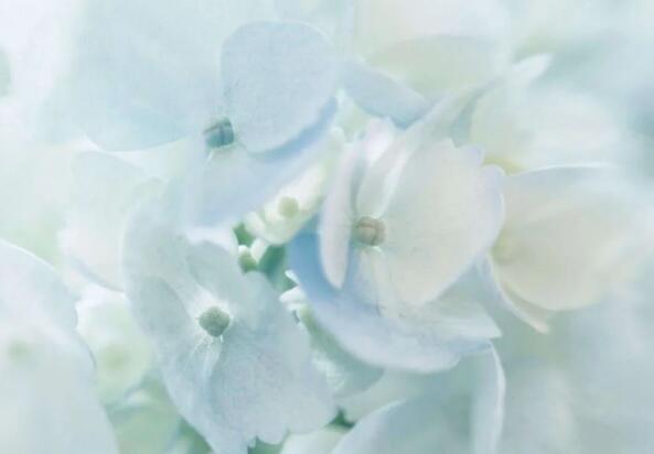 人生感悟的文案