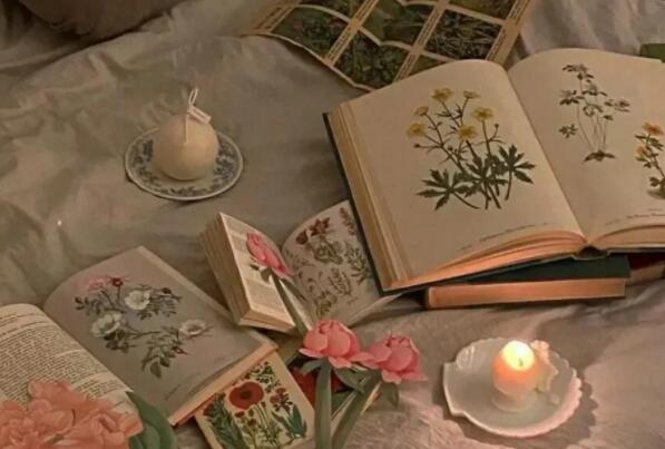 关于父亲和女儿的文案