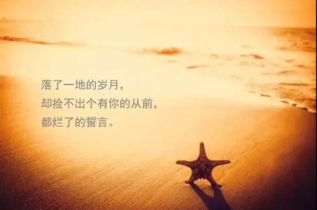 努力的文案句子