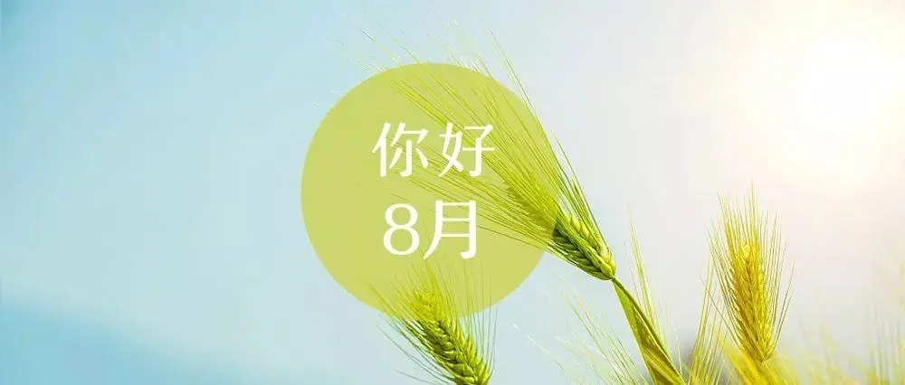 适合八月的文案
