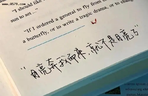 关于性格的文案