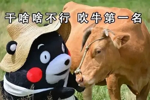 干啥啥不行的文案