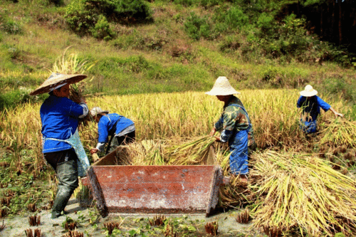 关于农民辛苦的文案