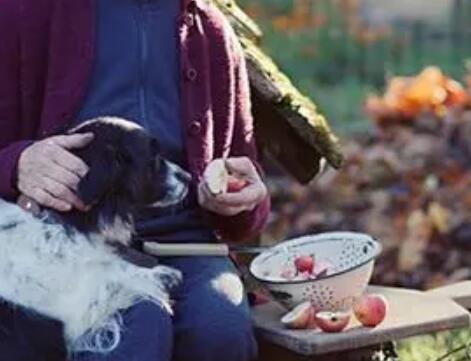 描写私家庭院的文案