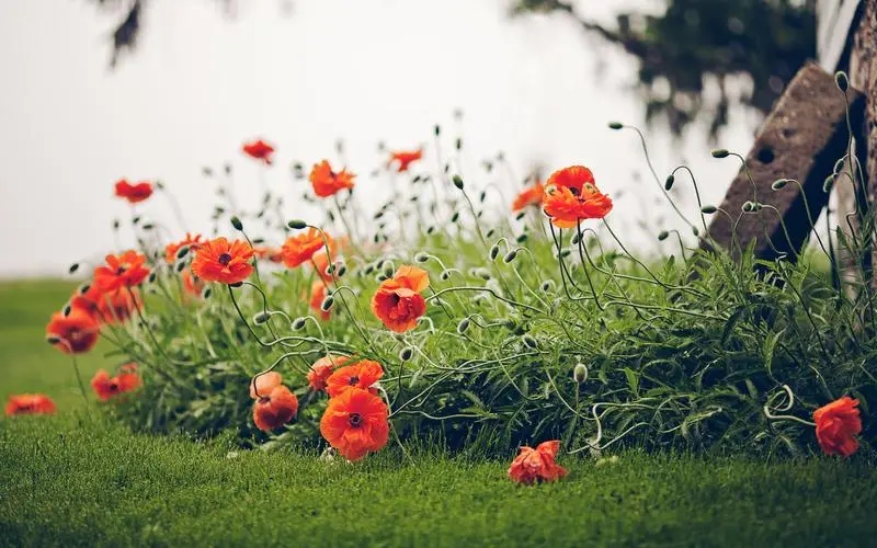 美好的时光朋友圈文案