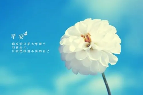 周一文案朋友圈九宫格