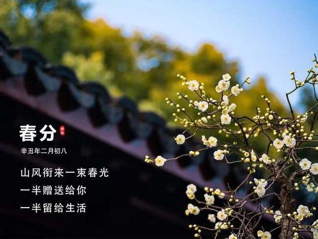 关于春天的文案段落