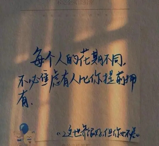 积极向上团结友爱的文案