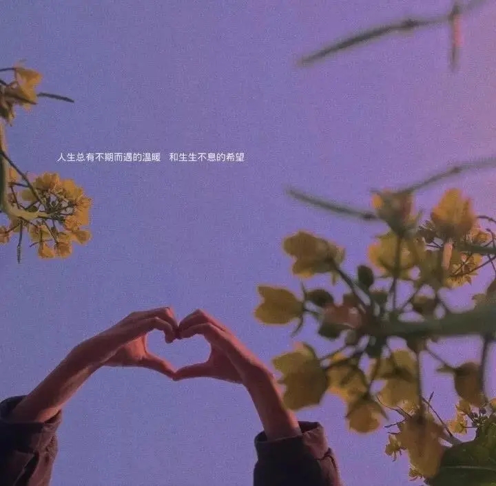 关于沦陷的文案