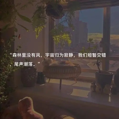 控制不住情绪的文案