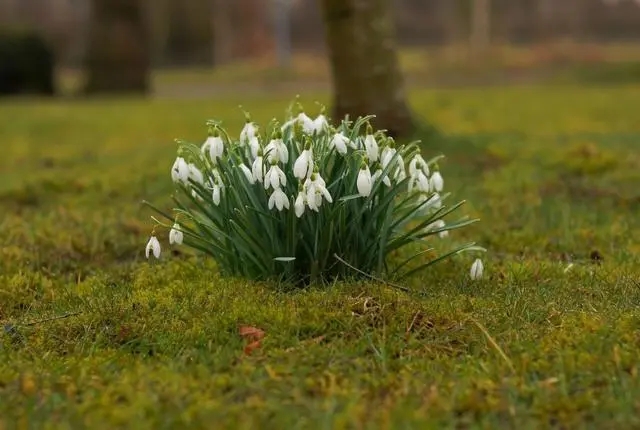 对自己说99的文案