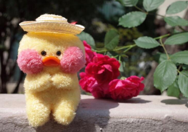 关于小可爱的文案