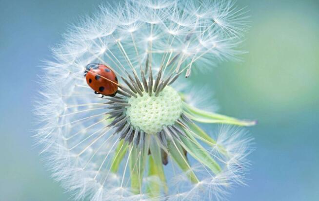 发自己视频的文案