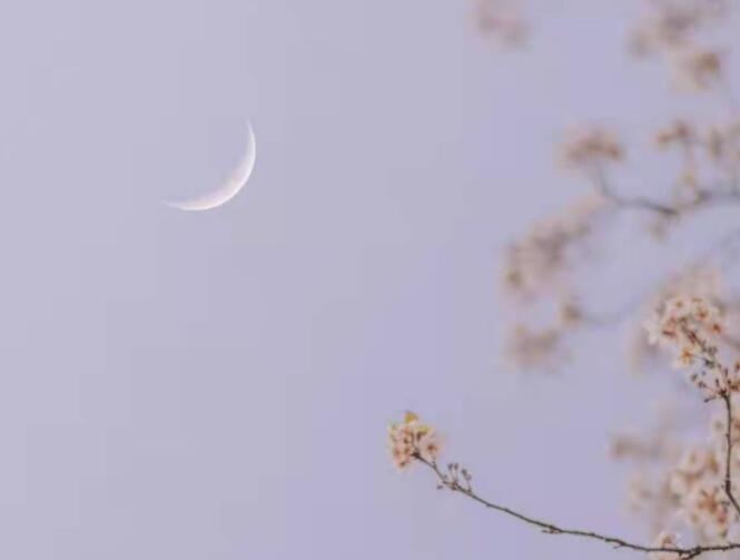 15字正能量文案