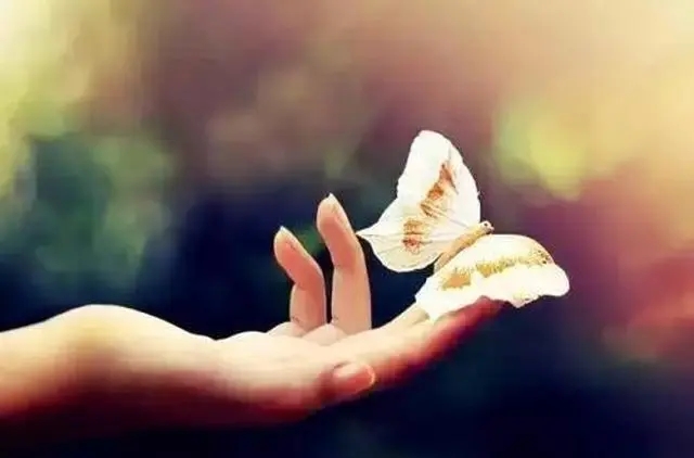 感觉自己过于善良的文案