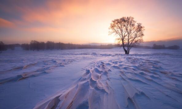 发说说最好的文案