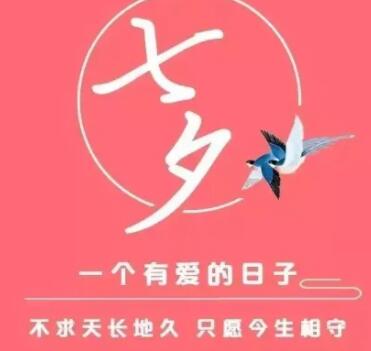 七夕情人节创意文案