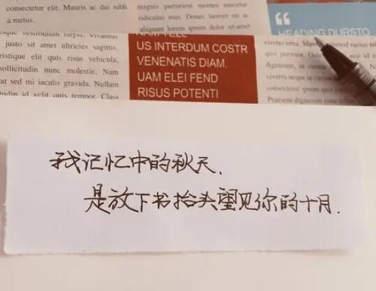 适合发朋友圈的积极文案