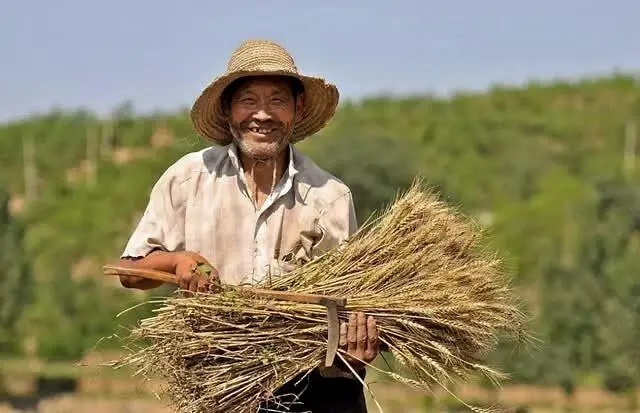 劳动最光荣文案