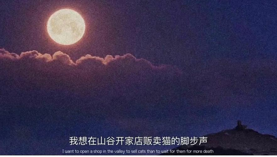 全是文案的壁纸