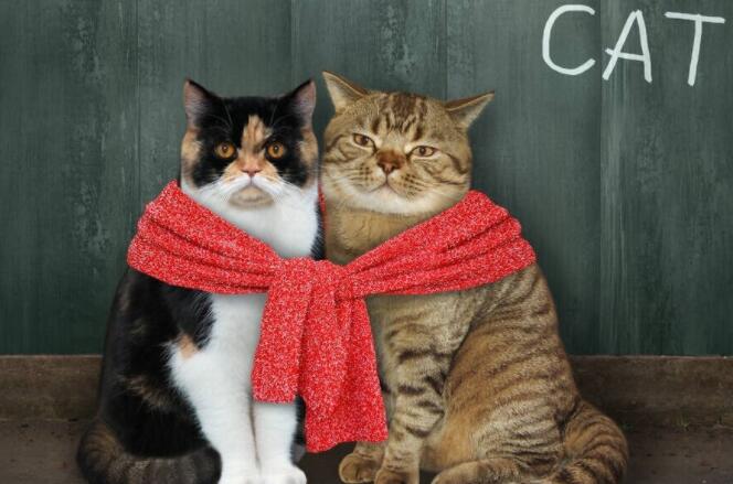 朋友圈秀恩爱文案朴素