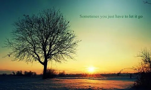 写景的优美句子文案