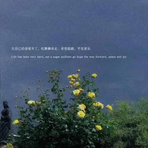 温柔文案英语短句干净