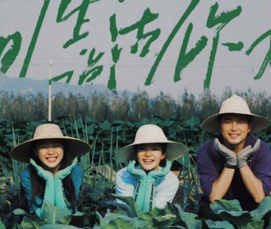 网络节目文案创作