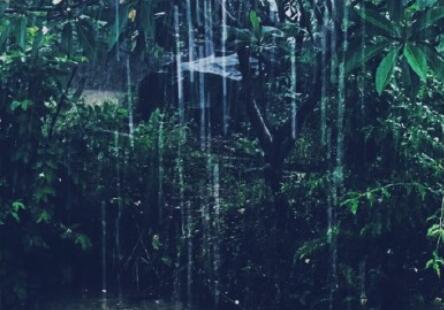 ins超火短句文案