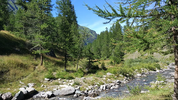 鼓励市场的文案