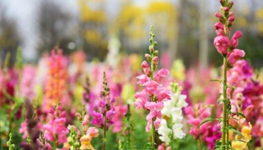 五月二号朋友圈文案