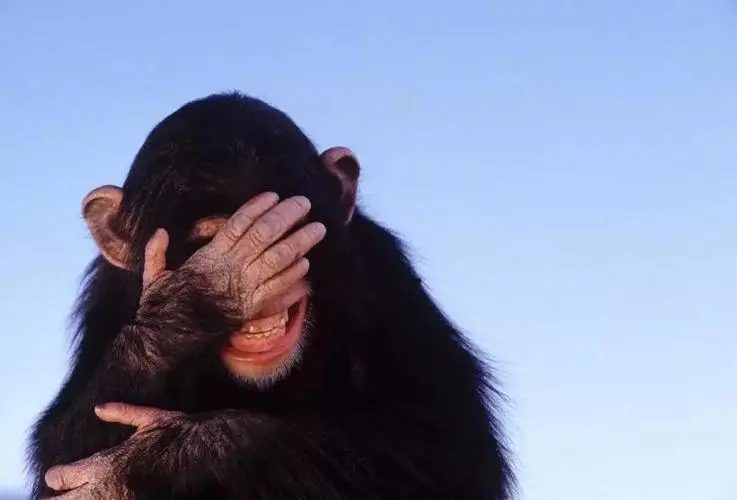 发朋友圈文案短句搞笑