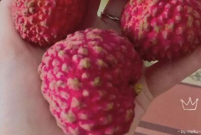 荔枝的朋友圈文案